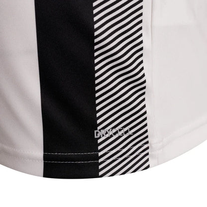 Мъжка тениска Puma Team Liga Striped Jersey