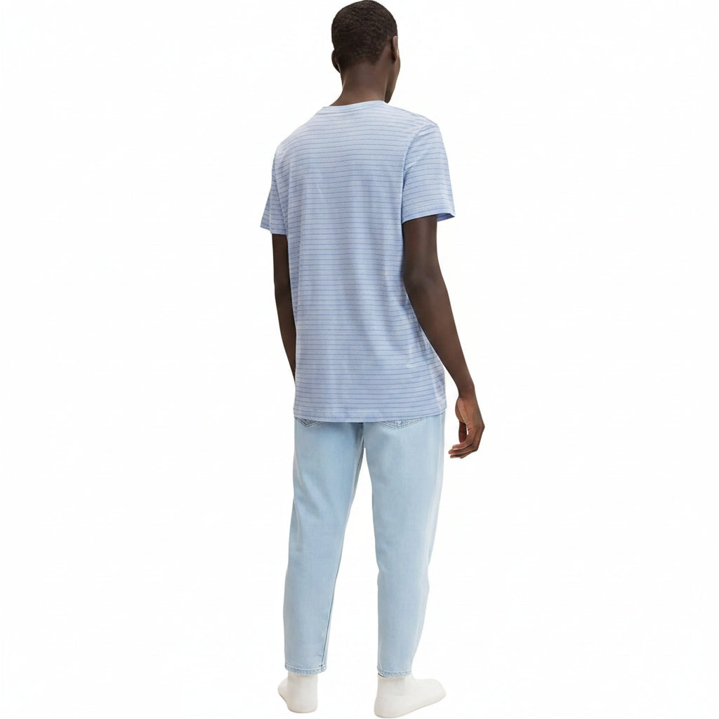 Мъжка тениска TOM TAILOR Striped Blue/White