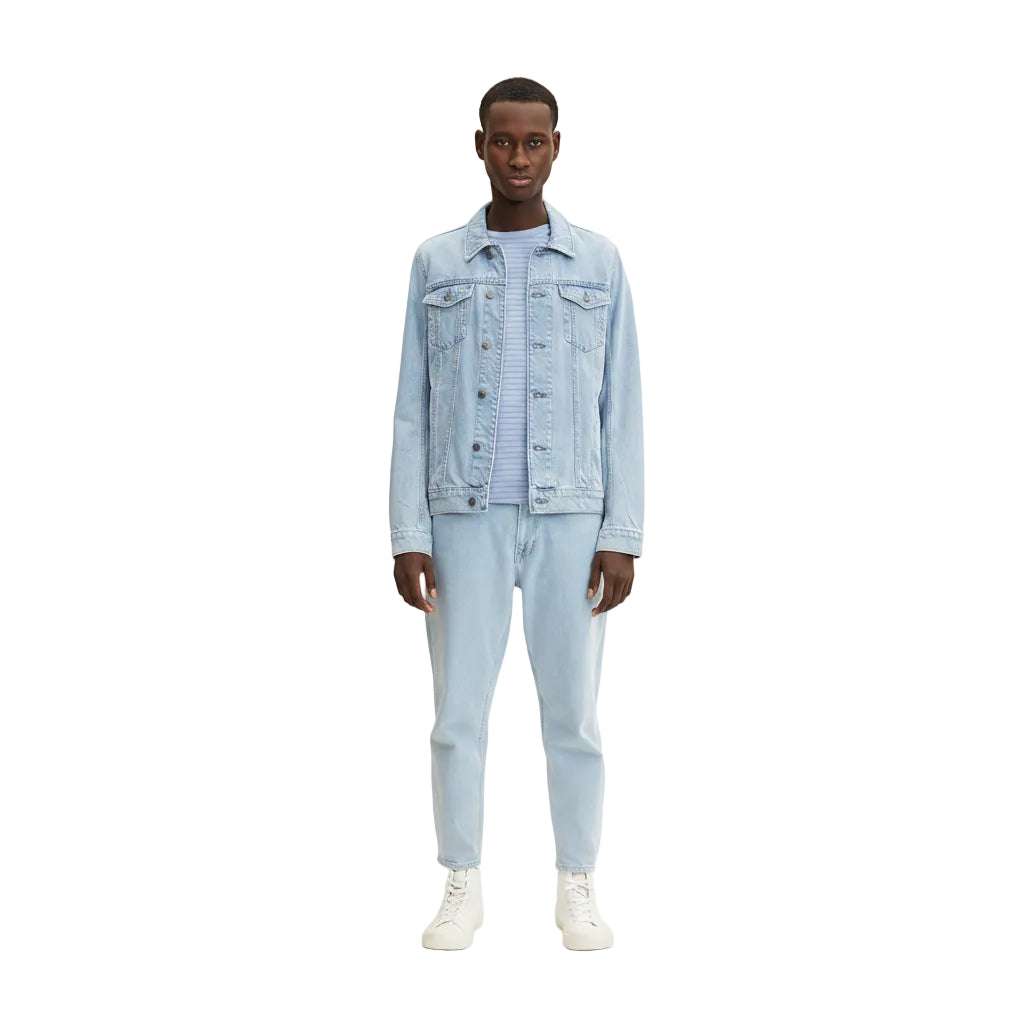 Мъжка тениска TOM TAILOR Striped Blue/White