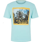 Мъжка тениска TOM TAILOR, Turquoise