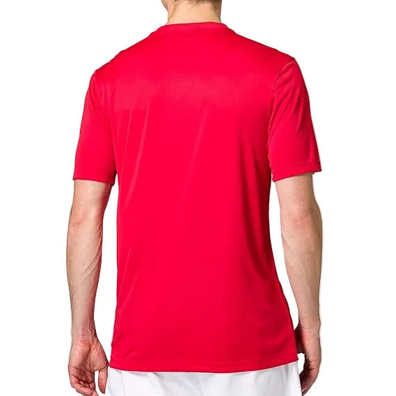 Мъжка тениска Nike Dri-FIT Sash