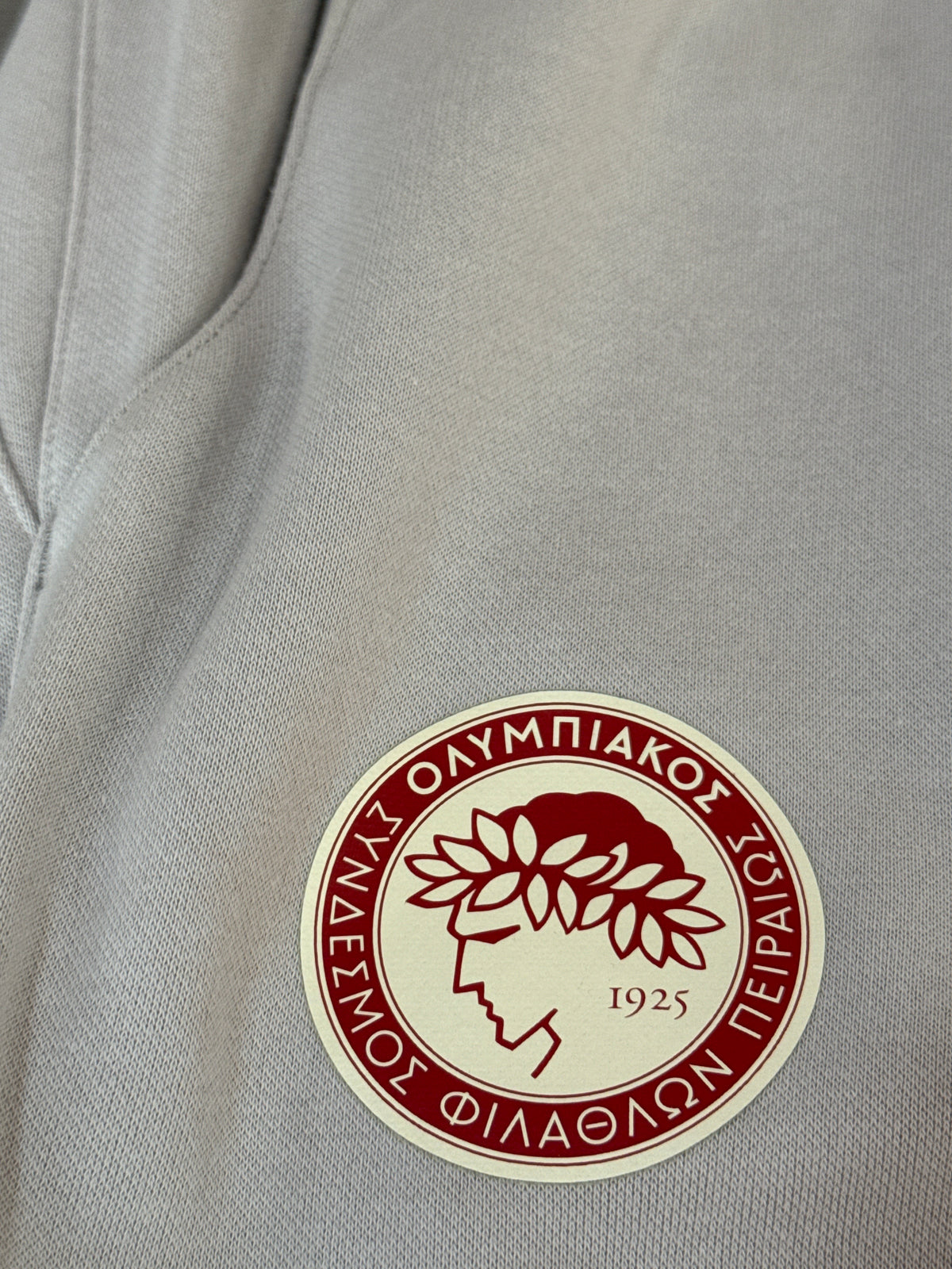 Мъжки къси панталони Puma Olympiacos Special Sweat Bermuda,pace gray