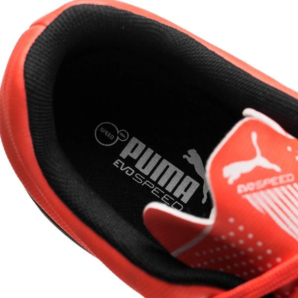 Футболни обувки PUMA evoSPEED 5.4 TT