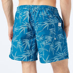 Мъжки плувни шорти Tom Tailor Swim, Blue