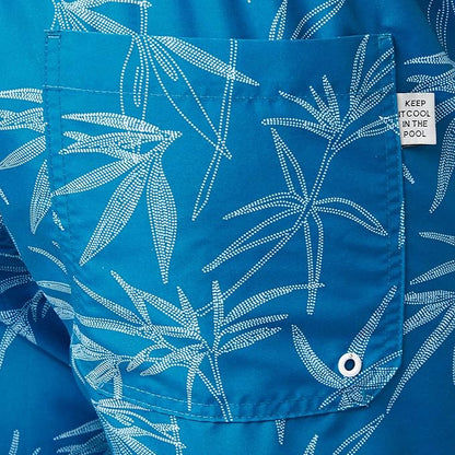 Мъжки плувни шорти Tom Tailor Swim, Blue