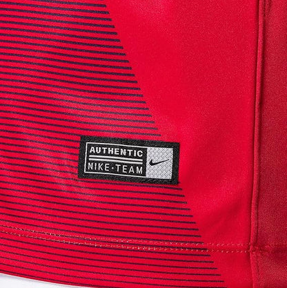 Мъжка тениска Nike Dri-FIT Sash