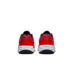 Маратонки Nike Revolution 6