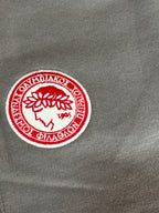 Pantaloni scurți copii Puma Olympiacos FC, Gri închis