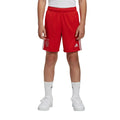 Детски къси панталони adidas Ajax Training