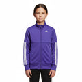 Детски суитшърт Adidas YG W LIN TTOP