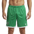Мъжки къси панталони Umbro PFC Ludogorets