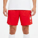 Мъжки къси панталони Puma Olympiacos