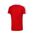 Мъжка тениска Nike Striker IV